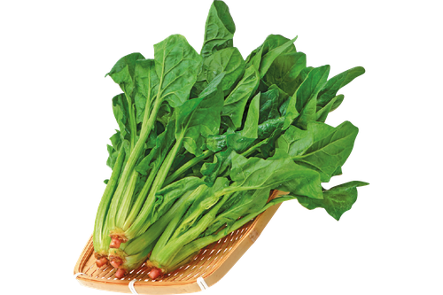 Chinese Spinach Png File (black, olive)