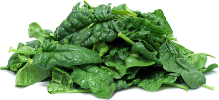 Chinese Spinach Png Image (black)