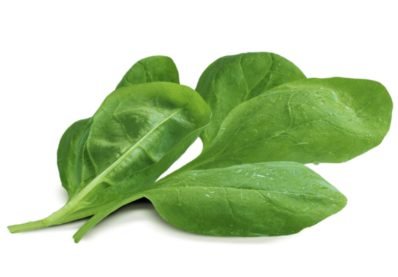 Chinese Spinach Png Transparent Image (black, olive, gray)