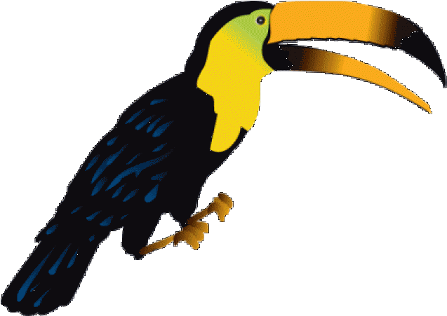 Rhinoceros Hornbill Png Clipart (gold, orange, black)