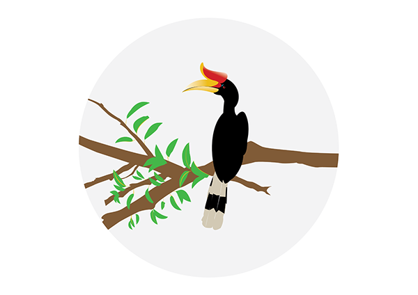 Rhinoceros Hornbill Png Hd Isolated (lavender, black, white)