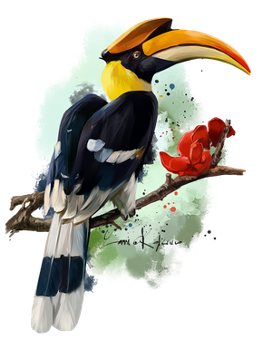 Rhinoceros Hornbill Png Isolated Hd (lavender, gray, black)