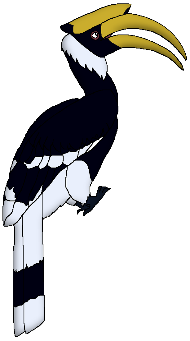 Rhinoceros Hornbill Png Picture (lavender, black, white)