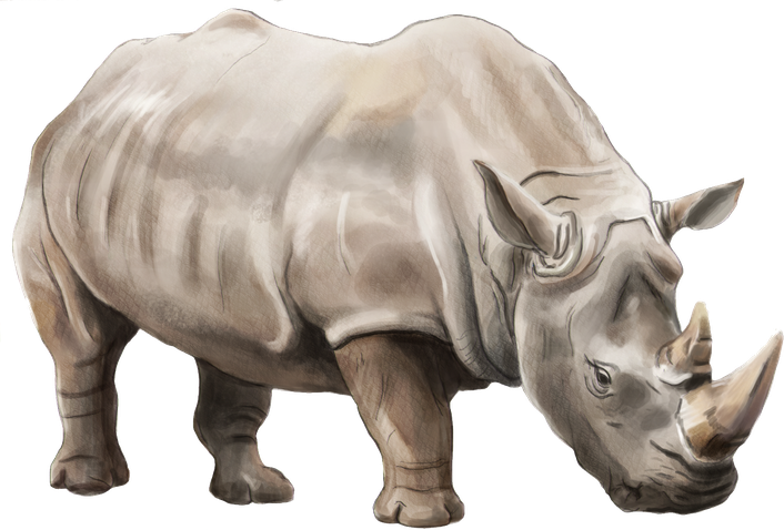 Rhinoceros Png Clipart (silver, black, beige)