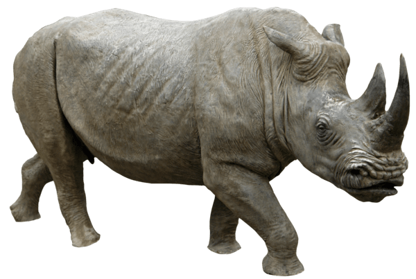 Rhinoceros Png Image (gray)