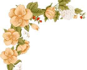 White Flower Png Pic 280X225 (black, pink, white)