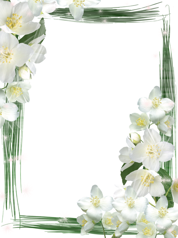 White Frame Png Picture (black, white)