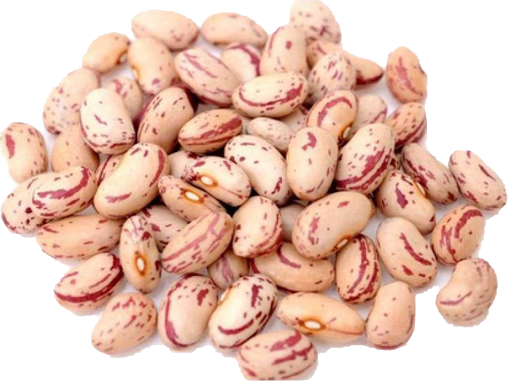 White Kidney Beans Png (black, silver, pink, beige)