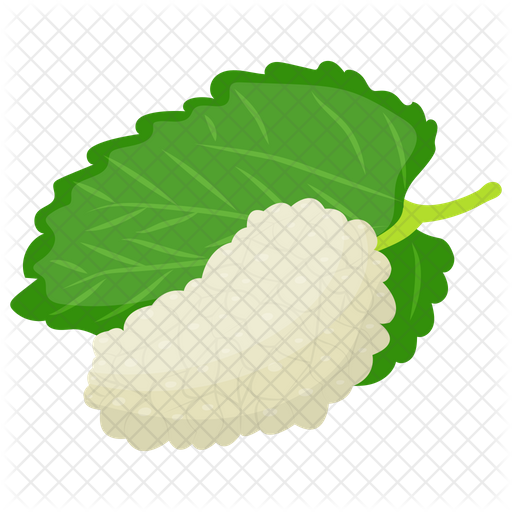 White Mulberry Png Hd (indigo, olive, black)