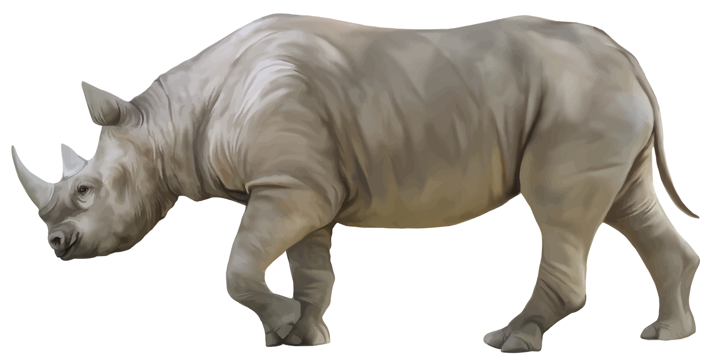 White Rhinoceros Png Hd (black, gray)