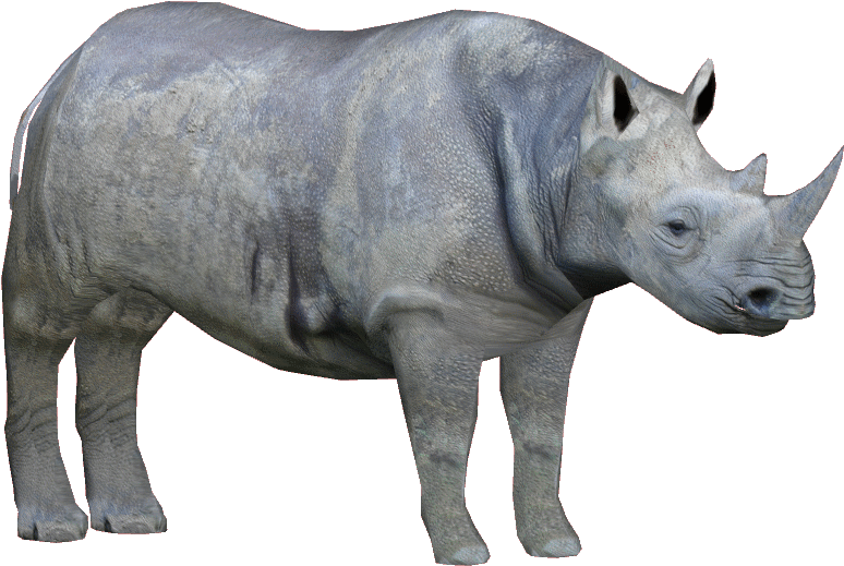 White Rhinoceros Png Isolated Pic (black)