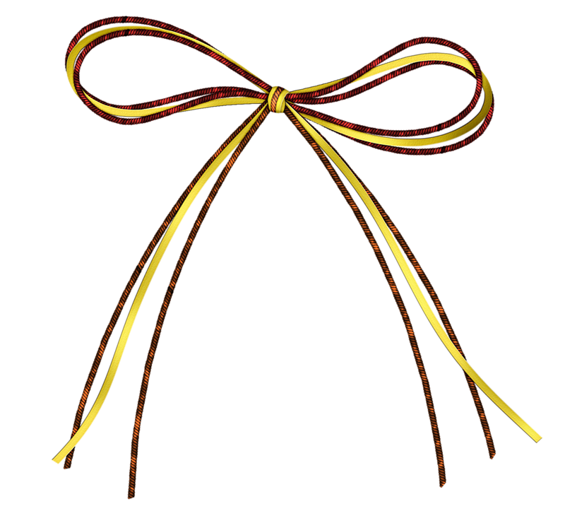 Shoelaces Png Background Image (black)