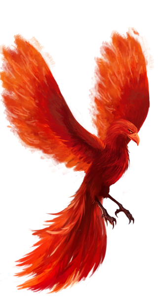 Phoenix Png Hd 1 (red, black, chocolate)