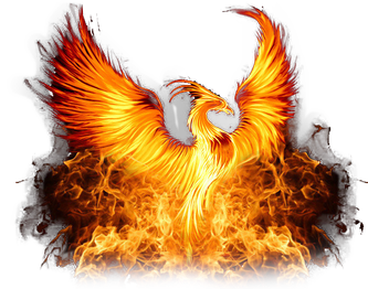 Phoenix Png Photos 1 (black)