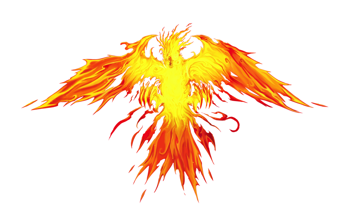 Phoenix Png Transparent Picture 1 (black, yellow)