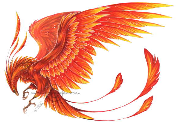 Phoenix Transparent Png (black)