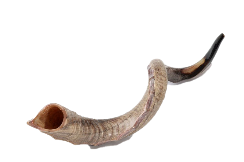 Shofar Horn Png File (beige, silver, white, gray)