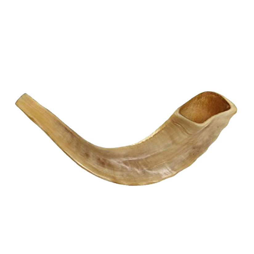 Shofar Horn Png Image (black, salmon, gray)