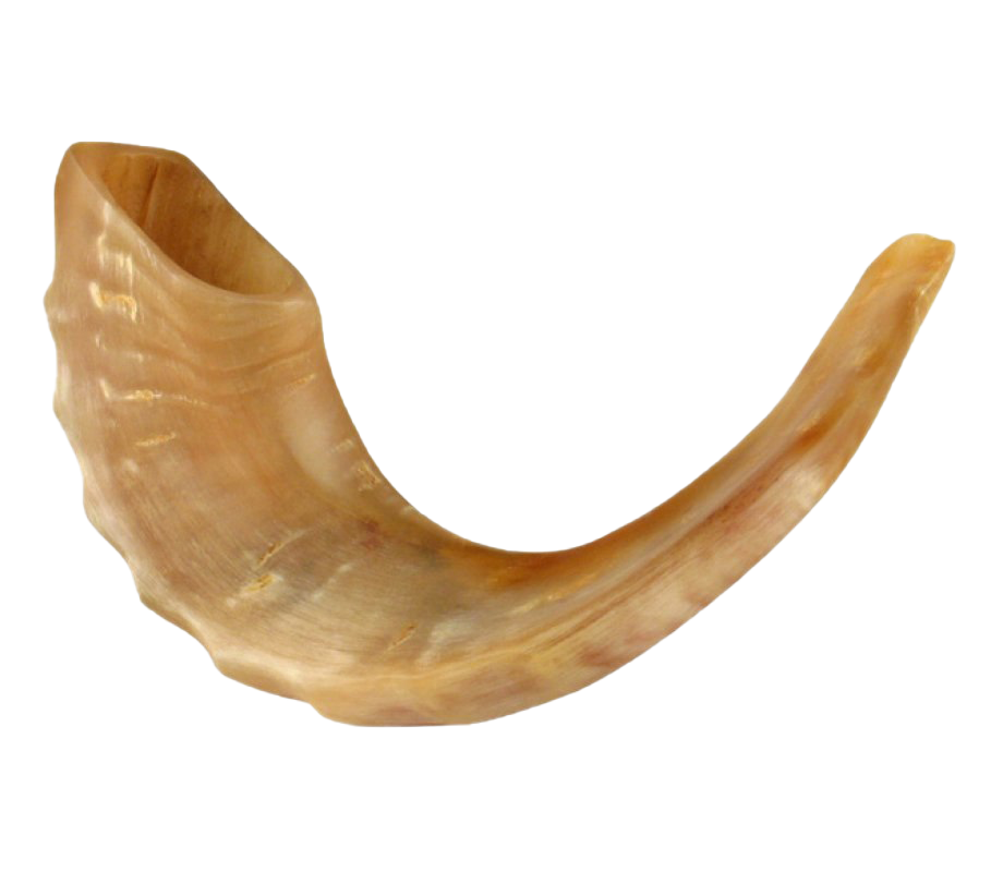 Shofar Png Free Download (salmon, chocolate, white)