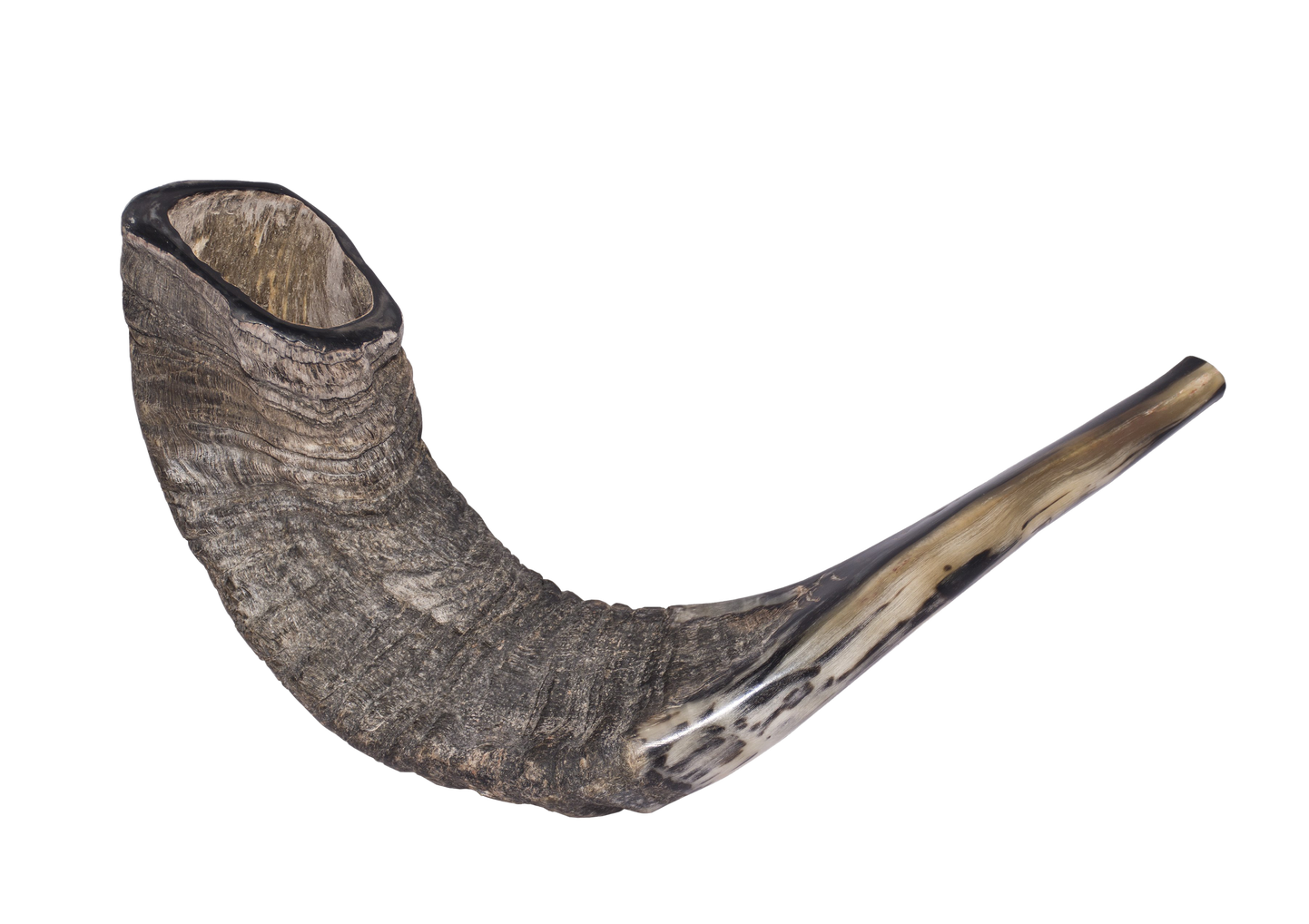 Shofar Png Transparent 1 (black, gray)