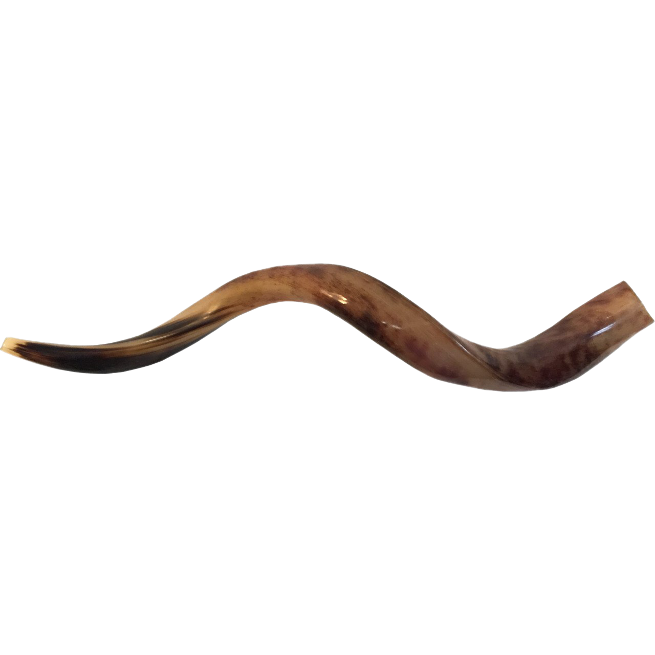 Shofar Png Transparent Image (black, white, olive)