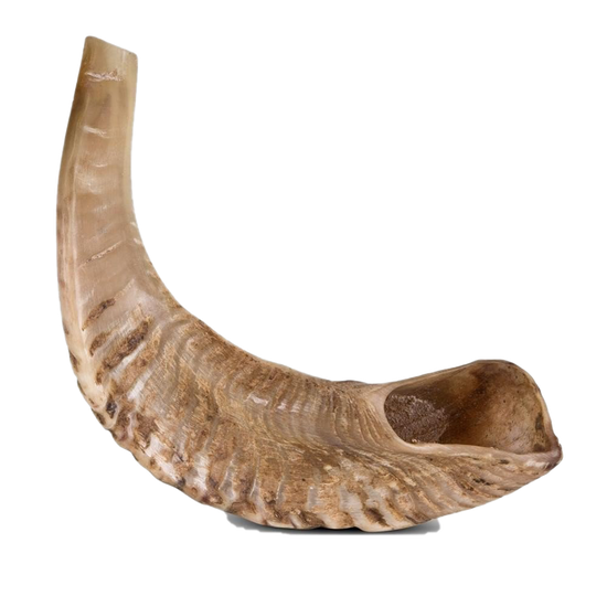 Shofar Transparent Background 1 (black, silver, gray)