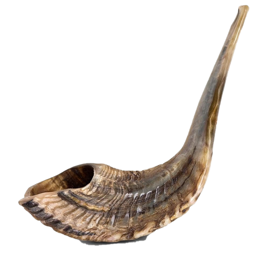 Shofar Transparent Png (black, silver, gray)