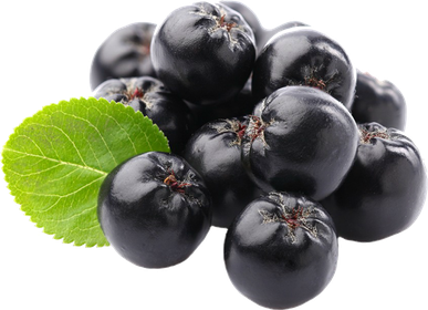 Chokeberry Png Photos (black)