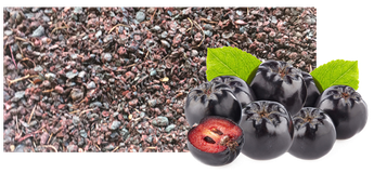 Chokeberry Png (black, indigo, gray)