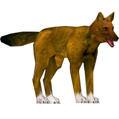 Dhole Png Free Download (gray, black, olive)