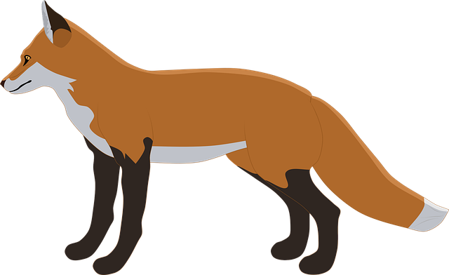 Dhole Png Hd (chocolate, black, silver)