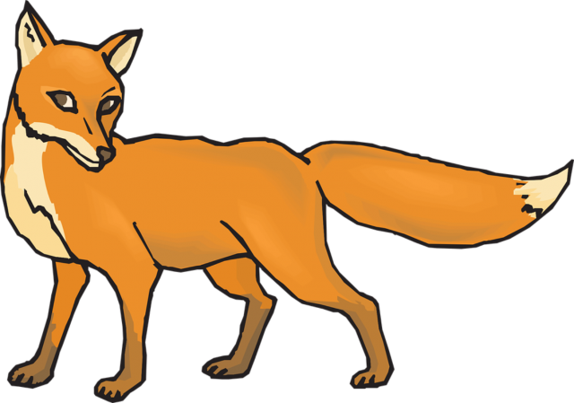 Dhole Png Image (chocolate, black, orange)