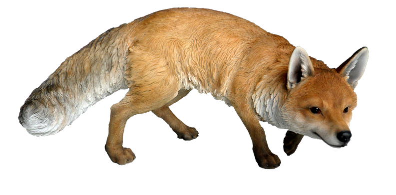 Dhole Png Photos (black)