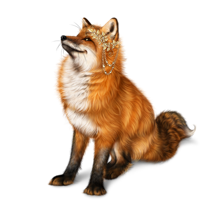 Dhole Png Picture (beige, black)