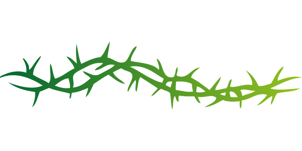 Thorn Png Isolated Picture (black)