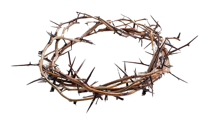 Thorns Crown Png Picture (lavender, white)