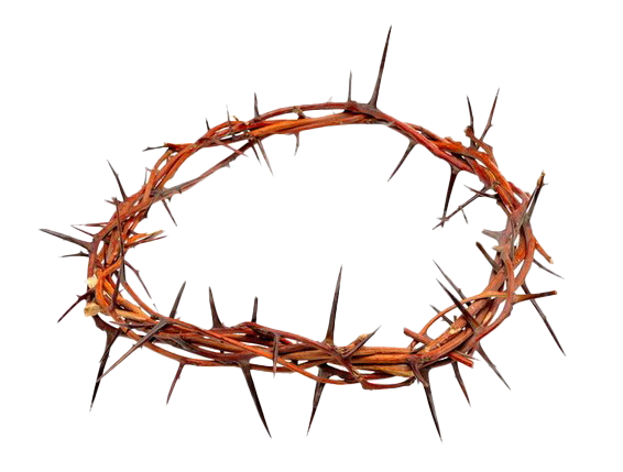 Thorns Png File (white)