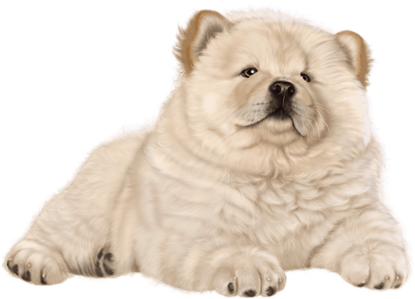 Chow Chow Png Isolated Photo (black, pink, beige, silver)