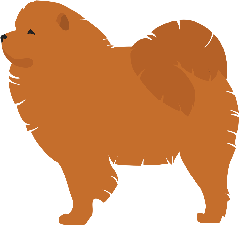 Chow Chow Transparent Png (black, chocolate)