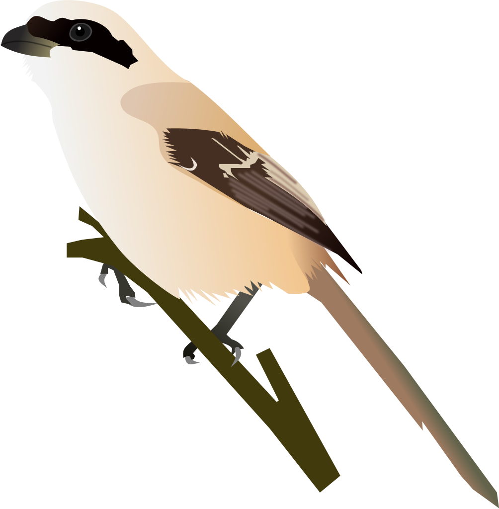 Shrike Png Hd Isolated (black, beige, maroon, gray)