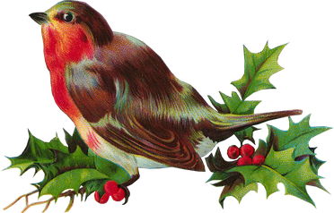 Christmas Bird Png File (black)