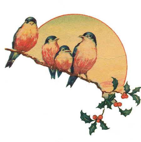 Christmas Bird Png Picture (black, salmon)