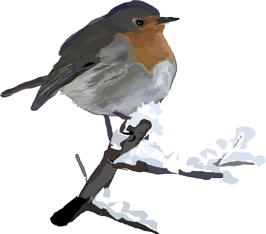 Christmas Bird Transparent Png (indigo, black, white, gray, olive)