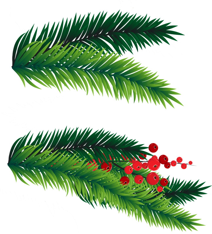 Christmas Branches Png File (black, green)