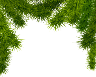 Christmas Branches Png Photo (black, olive, green)