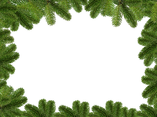 Christmas Branches Png Picture (black, olive, green)