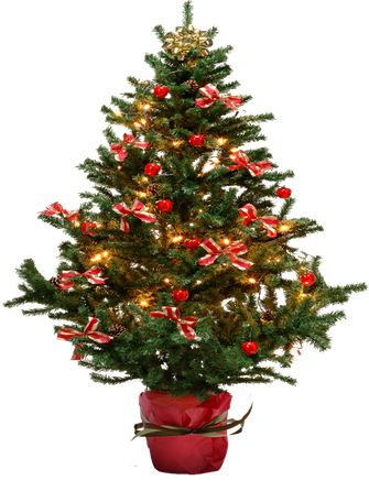 Christmas Fir Tree Lights Png (black)