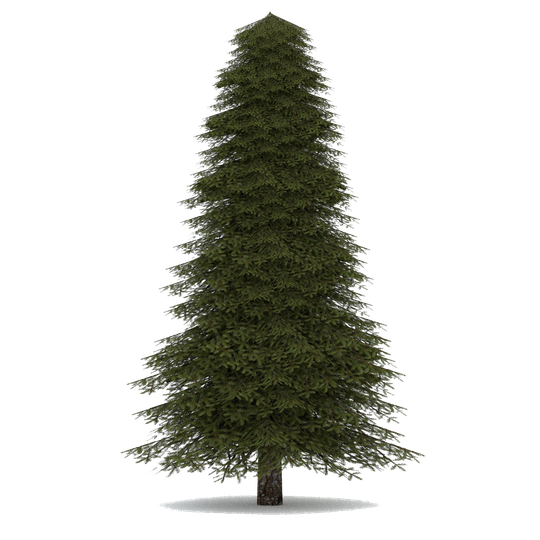 Christmas Fir Tree Png Background Image (black)