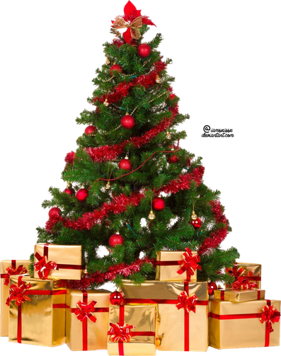 Christmas Fir Tree Png Clipart (salmon, black)