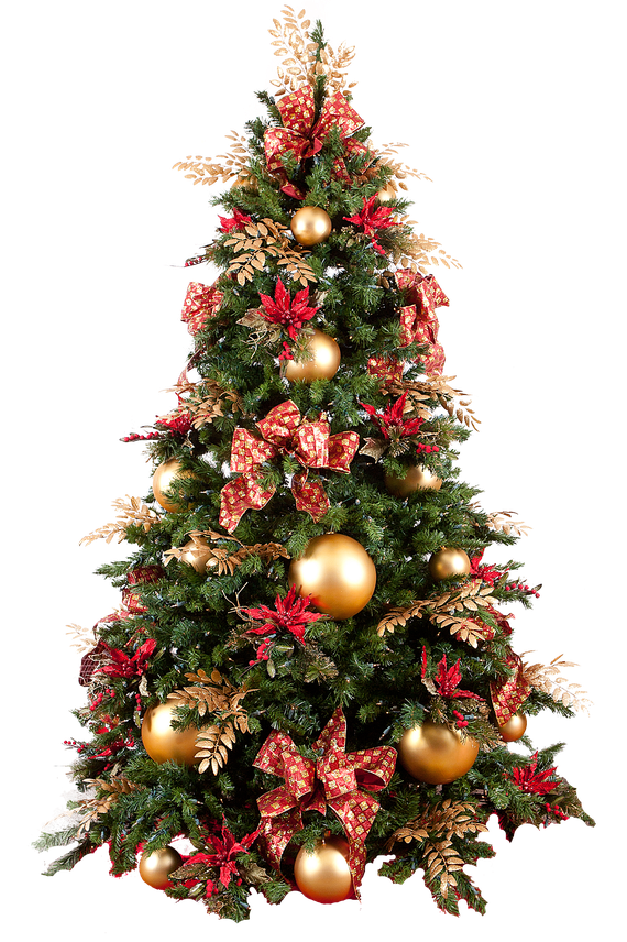 Christmas Fir Tree Png Photo (black, white)